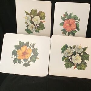 Vintage Lovely Set of4 Botanical Theme Vinyl Floral Placemats 10” x12”.